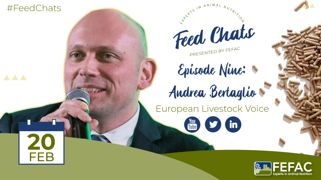 Feed Chats: Episode 9 with Andrea Bertaglio